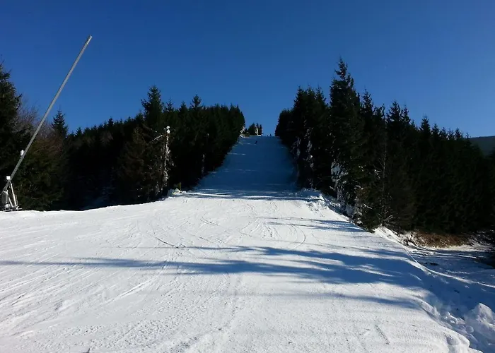 Appartement Luxusni Horsky Primo U Sjezdovky Kouty Loučná nad Desnou